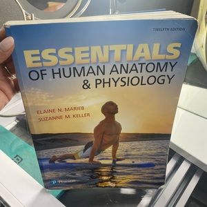 Essentials of A&P 12e